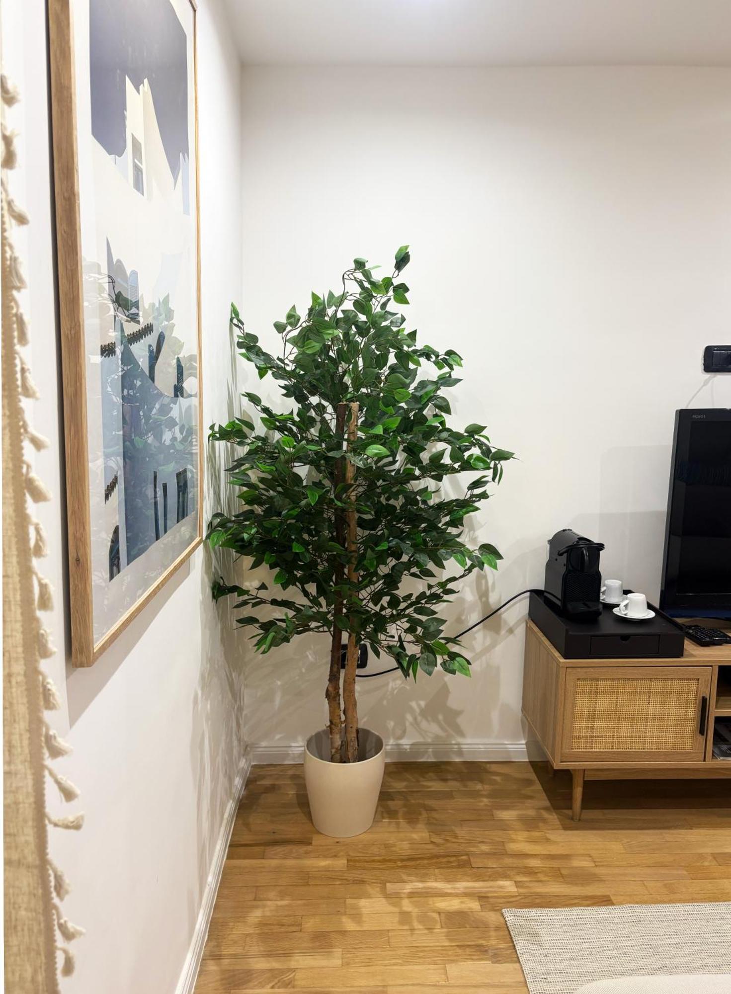 Blue Rattan - Toledo Appartement